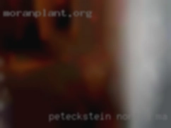 Peteckstein Norton MA